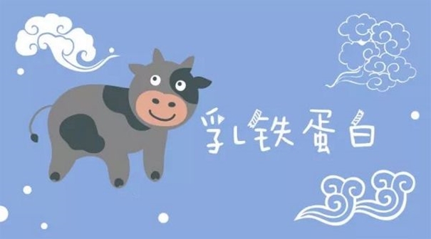 進(jìn)口乳鐵蛋白粉報(bào)關(guān)注意事項(xiàng)以及中文標(biāo)簽注明內(nèi)容