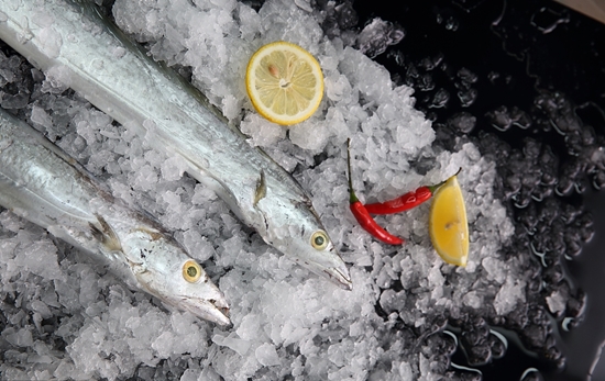 想知道菲律賓凍魚進(jìn)口報關(guān)的流程嗎?凍魚報關(guān)請看這里